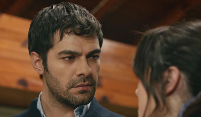 Wichrowe wzgórze odc. 354. Zeynep, Halil