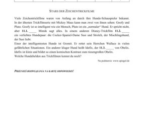 Egzamin ósmoklasisty 2019 - Arkusze Język Niemiecki [CKE]