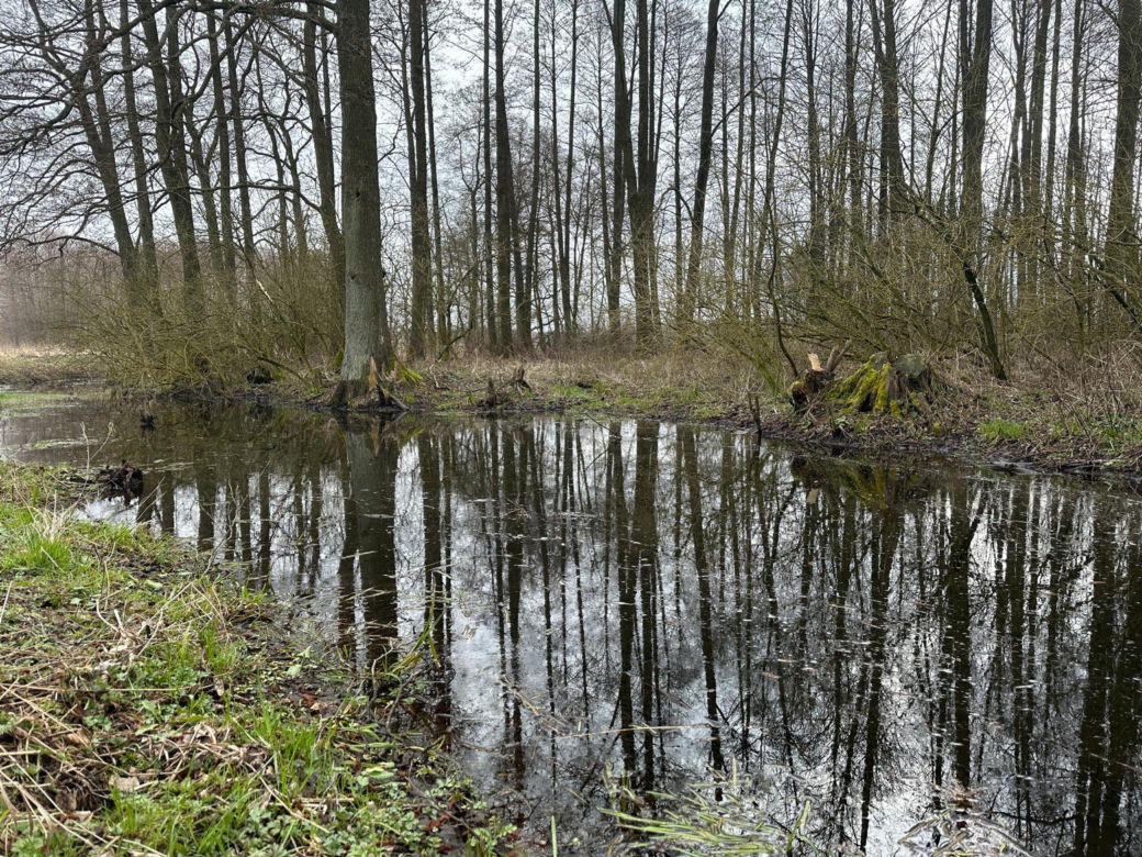 Tajemnicza śmierć rowerzysty. Pana Mariana znaleziono kilkadziesiąt kilometrów od domu