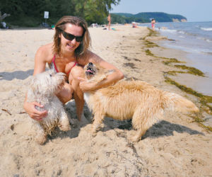 Idź z pupilem na psią plażę