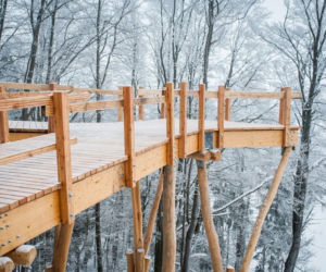 W Małopolsce powstaje ścieżka w koronach drzew! To pierwszy taki projekt w kraju [ZDJĘCIA]