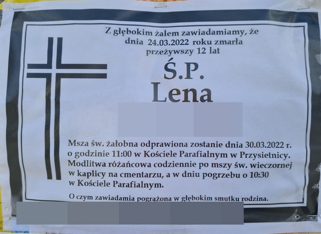 Przysietnica. Morze białych kwiatów na grobie 12-letniej Leny [GALERIA]