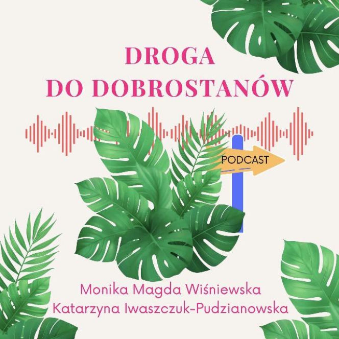 Droga do Dobrostanów