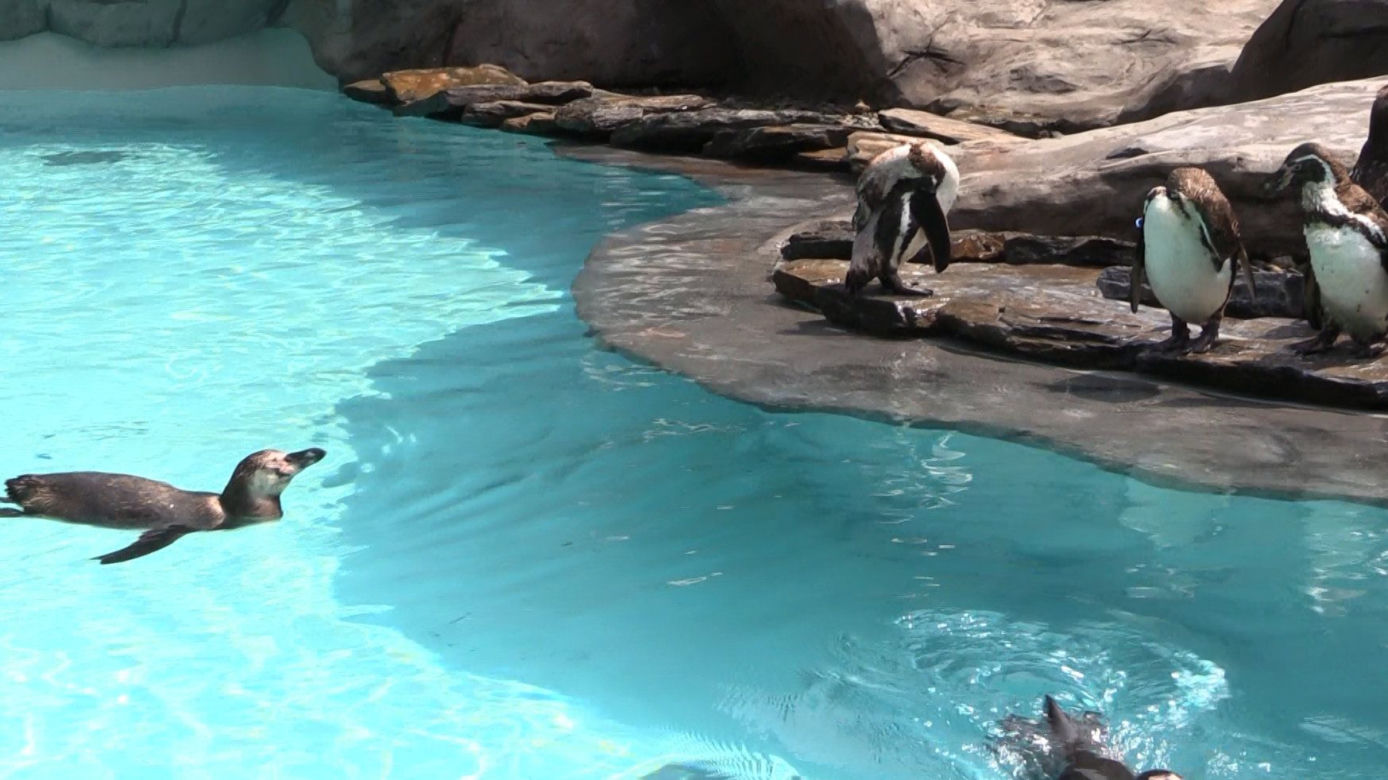 Zoo