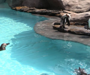 Zoo
