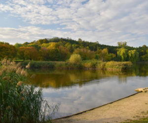 Plaże w Warszawie