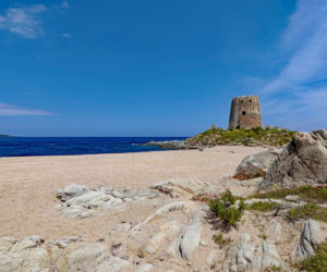 Bari