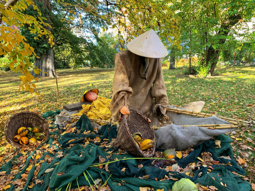 Jesień w ogrodzie botanicznym we Wrocławiu