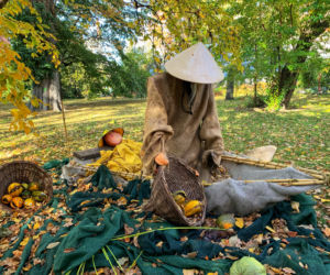 Jesień w ogrodzie botanicznym we Wrocławiu