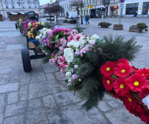 Palma wielkanocna na nowosądeckim Rynku