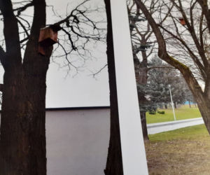 RZESZÓW:  Pszczoły w miejskich pasiekach będą już wiosną!