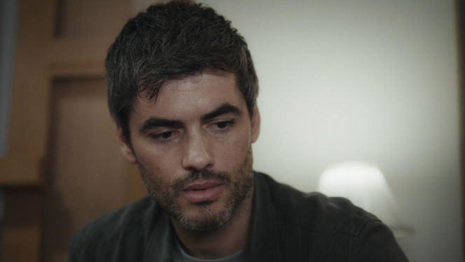 Dziedzictwo, odc. 884. Poyraz