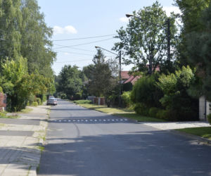 Poszukiwania węża