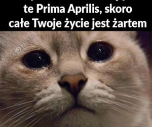 Prima Aprilis 2021. Zobacz najlepsze memy! [GALERIA]