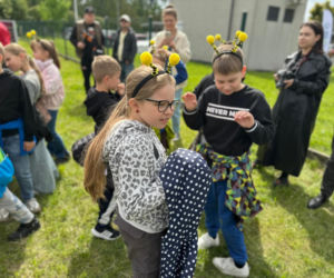 Niezwykła pasieka na terenie Kieleckiego Parku Technologicznego