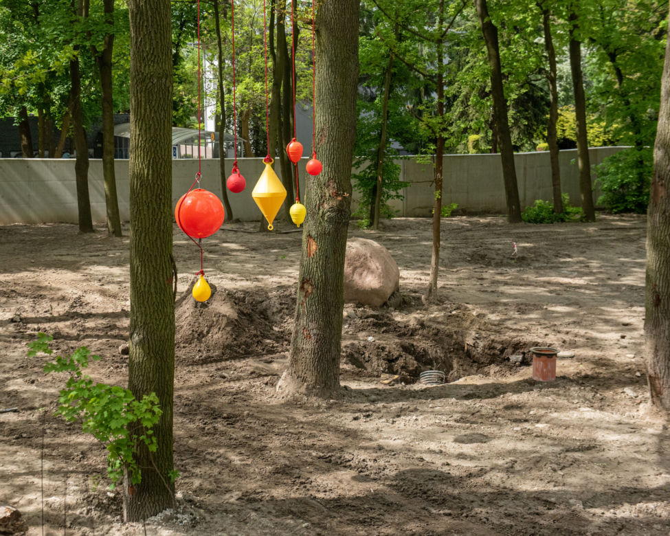Orientarium Łódź. Wiemy, kto będzie pierwszym lokatorem! Wprowadzi się już za miesiąc