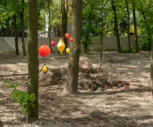 Orientarium Łódź. Wiemy, kto będzie pierwszym lokatorem! Wprowadzi się już za miesiąc