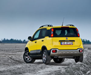 Fiat Panda Cross 1.3 MultiJet II