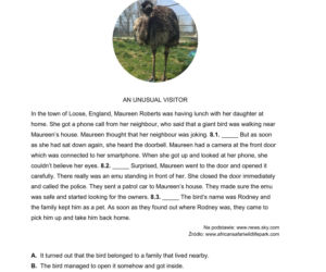 Próbny egzamin ósmoklasisty 2026 - angielski