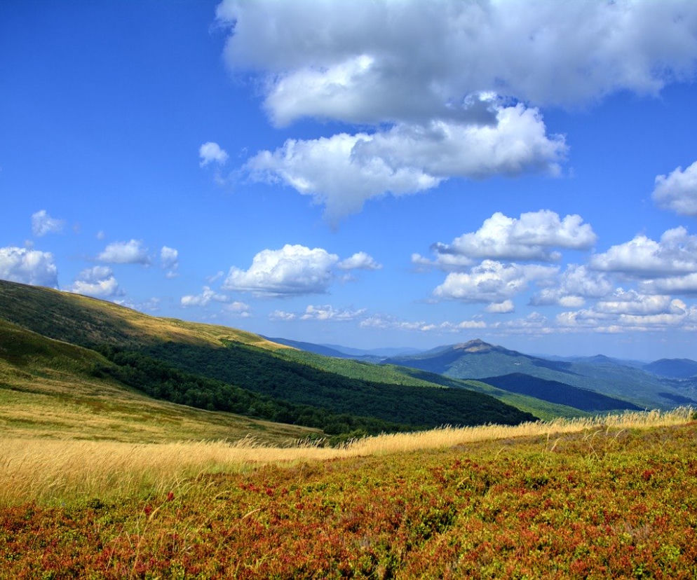 Wyjeżdżasz w Bieszczady? Koniecznie przeczytaj APEL BPN! Posypią się mandaty?