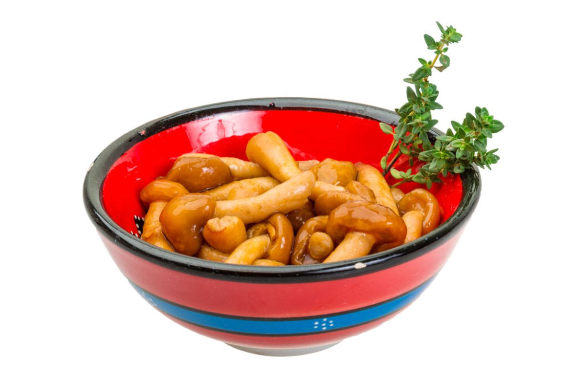 Opieńki