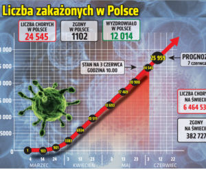 Koronawirus: Zobacz wykresy i prognozy – stan na 03.06.2020, godz. 10:00