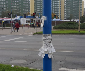 Wrocław jest pełen nielegalnie przyklejonych plakatów i ulotek