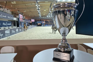 Cavaliada znowu w Poznaniu. 600 koni, setki zawodników i cztery dni sportowych emocji