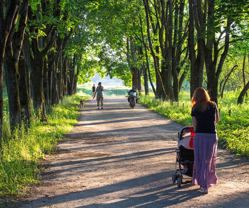 Majówka w Łodzi zapowiada się niezwykle ciekawie