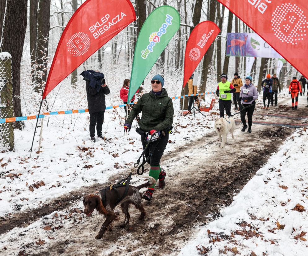 Za nami kolejny bieg z cyklu City Trail w Katowicach w pięknej, zimowej aurze
