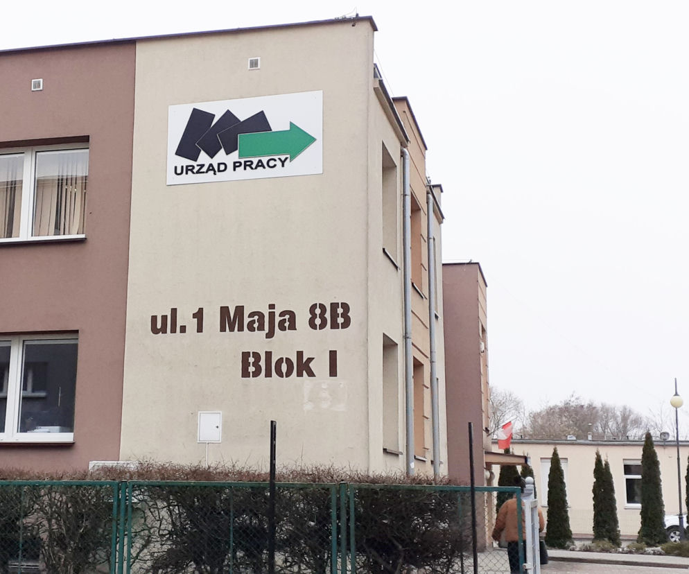 pup iława praca urząd pracy