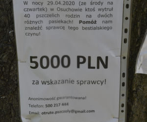 Wytrucie pszczół pod Mszczonowem