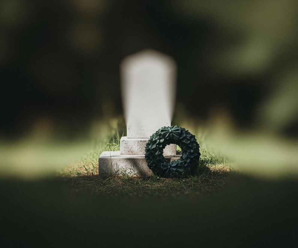 Centralnym elementem obrazu jest ciemnozielony wieniec spoczywający na ziemi, oparty o jasnoszary nagrobek, którego górna część jest nieostra. Wieniec ma formę koła, złożonego z elementów przypominających liście, z dwoma dużymi, ozdobnymi kokardami, jedną na górze i jedną na dole. Nagrobek, o zaokrąglonej górze, stoi na trawiastym podłożu, częściowo oświetlonym promieniami słońca, tworzącymi jasne plamy na ciemnym tle. Otoczenie wieńca i nagrobka jest rozmyte, zdominowane przez ciemne odcienie zieleni i brązu.