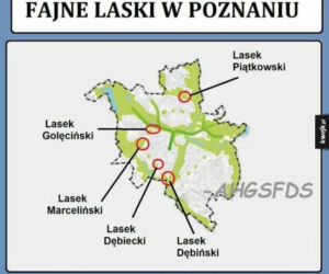 Tak internet się śmieje się z Poznania! Zobacz najlepsze MEMY!