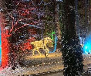 MagicznyBotaniczny 2025/2026 w Warszawie