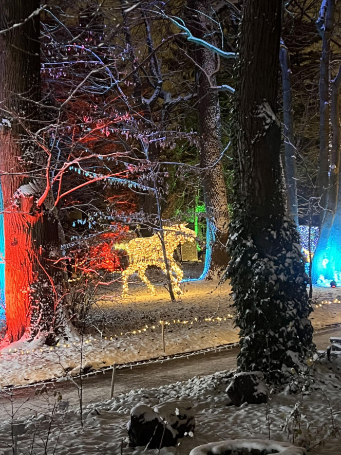 MagicznyBotaniczny 2025/2026 w Warszawie