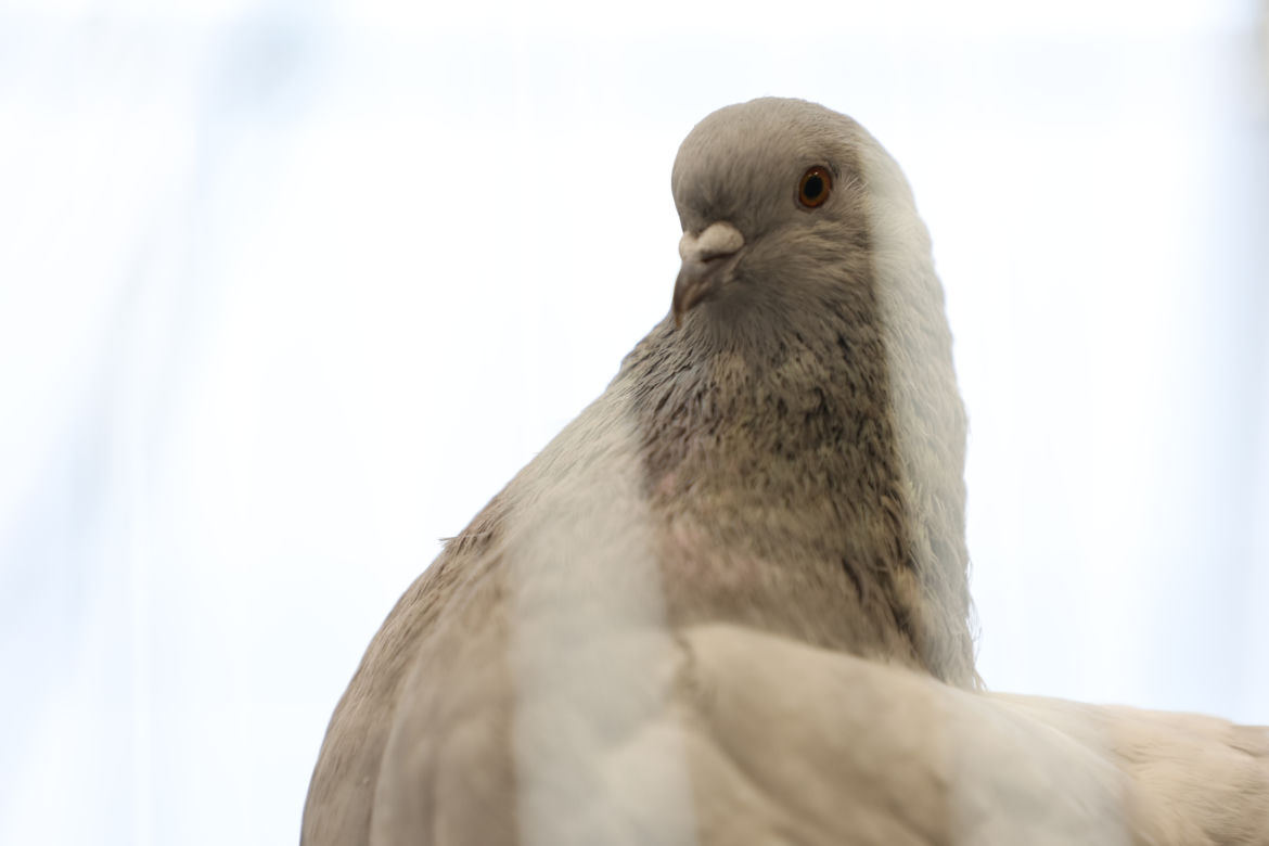 ZooPark 2023 w Lublinie przyciągnął tłumy!