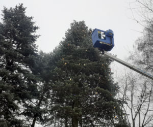 To drzewko co roku integruje lokalną społeczność. Już w czwartek ponowne ubieranie osiedlowej choinki na LSM