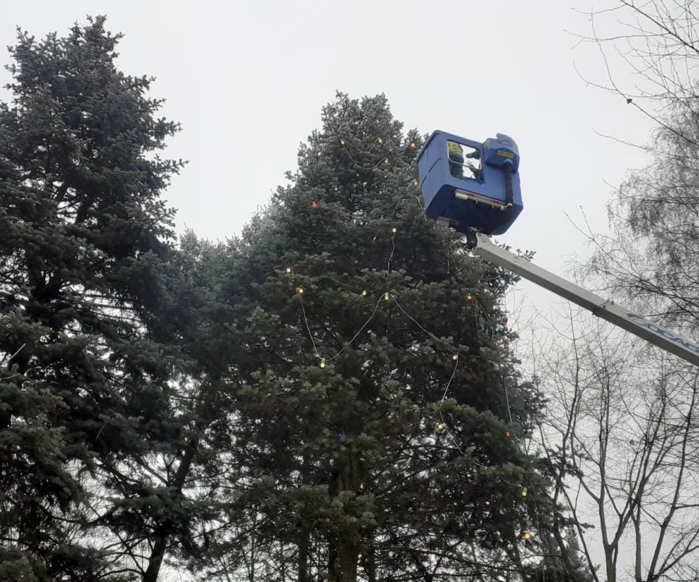 Choinka na LSM jest już ozdobiona. Dzieci przygotowały recyklingowe ozdoby [GALERIA, WIDEO]