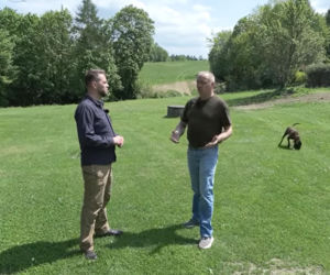Niedźwiedzie coraz bliżej ludzi. Strach w Bieszczadach narasta: „Boimy się wyjść z domu”