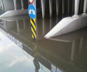 Zalany Sosnowiec