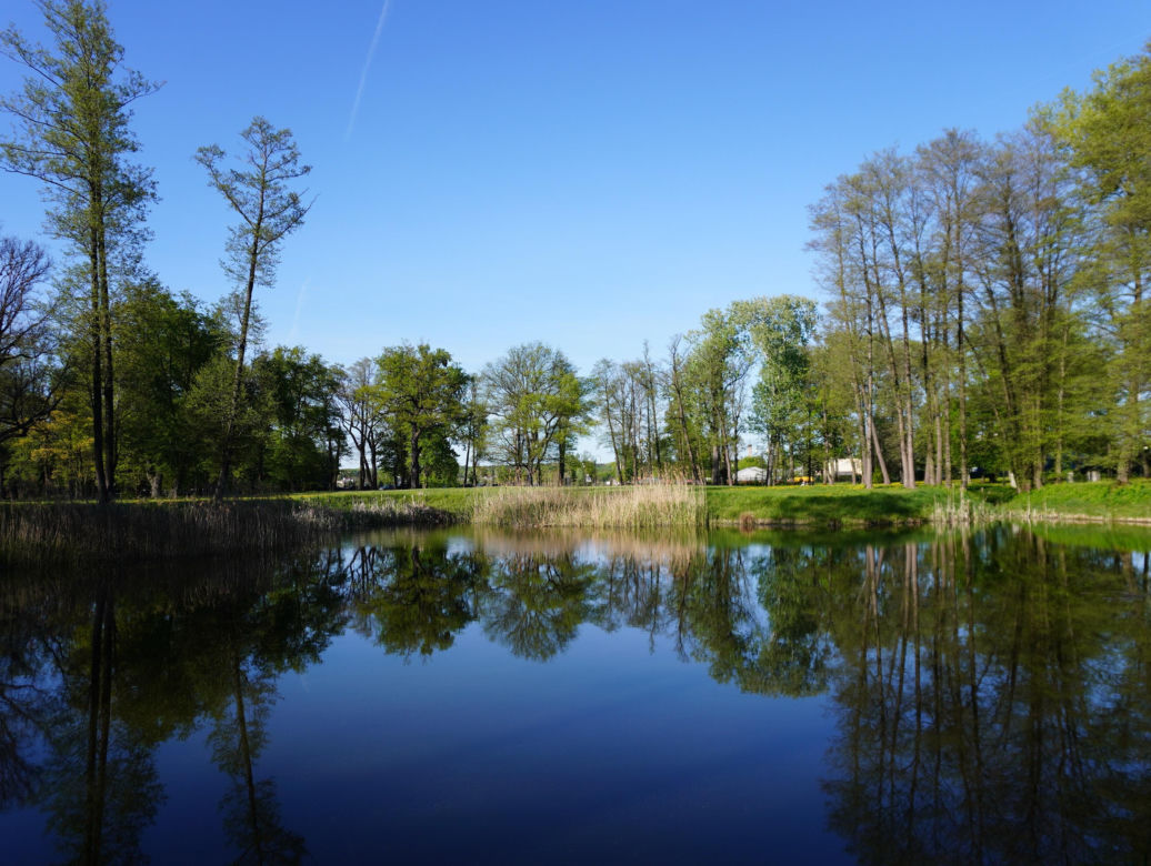 Park miejski w Opolu Lubelskim