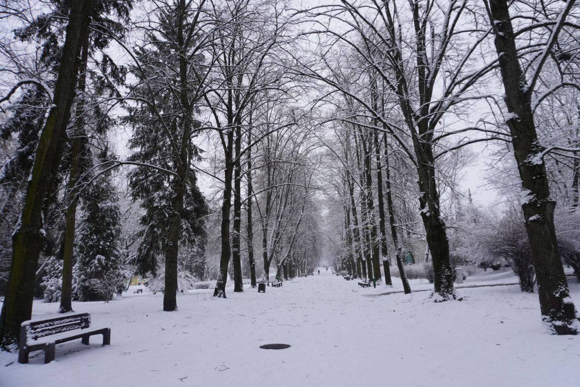 Białystok pod śniegiem. Tak prezentuje się zasypana stolica Podlasia