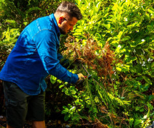 Murator Ogroduje, realizacje