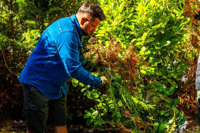 Murator Ogroduje, realizacje