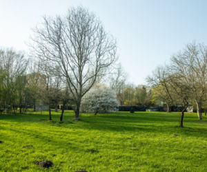 Tu powstanie kontrowersyjny plac zabaw