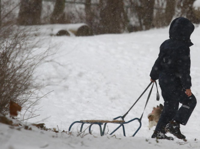 Marta Kaczyńska z synem i psami na sankach w lesie