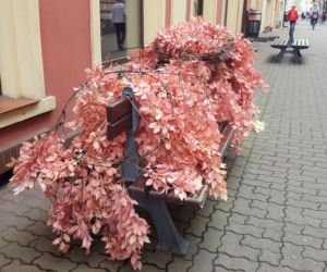 Nad ulicą Wróblewskiego zamontowano dziś girlandy