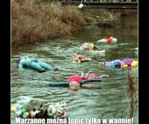 Memy na pierwszy dzień wiosny