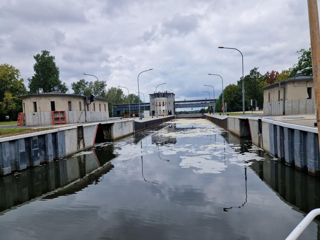 Złota alga zaatakowała Kanał Gliwicki we wrześniu 2025 roku